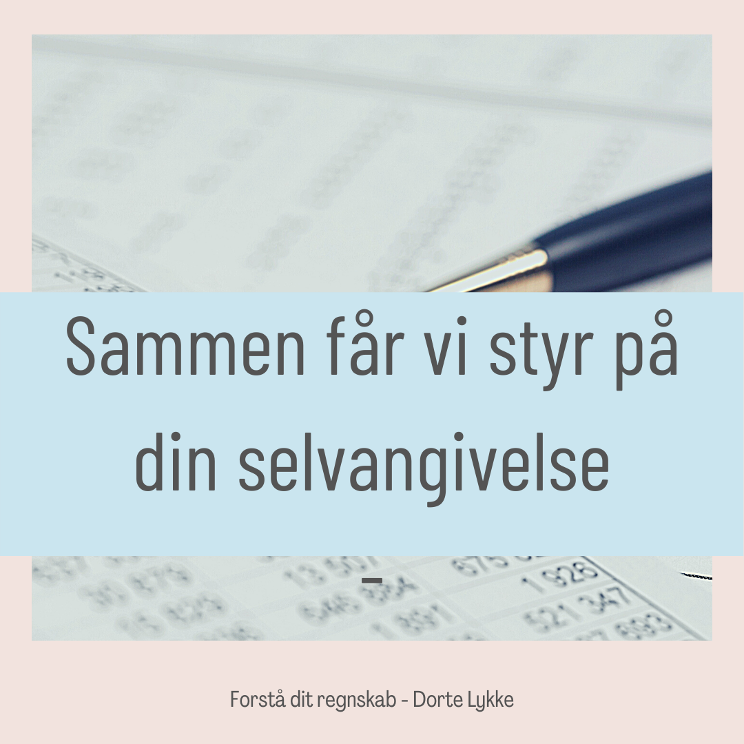 Tilpas din kontoplan (1)